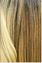 Janet MELT HD PART LACE RAVEN WIG PREMIUM SYNTHETIC HAIR