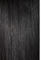 Janet MELT HD PART LACE RAVEN WIG PREMIUM SYNTHETIC HAIR