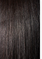 Janet MELT HD PART LACE RAVEN WIG PREMIUM SYNTHETIC HAIR